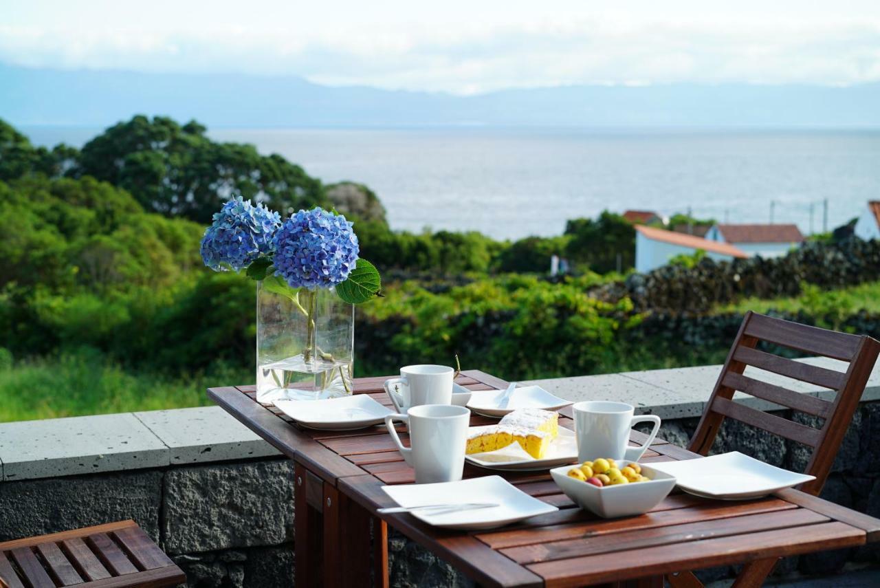 Villa Casa Do Cedro Do Mato à Terra Alta Extérieur photo